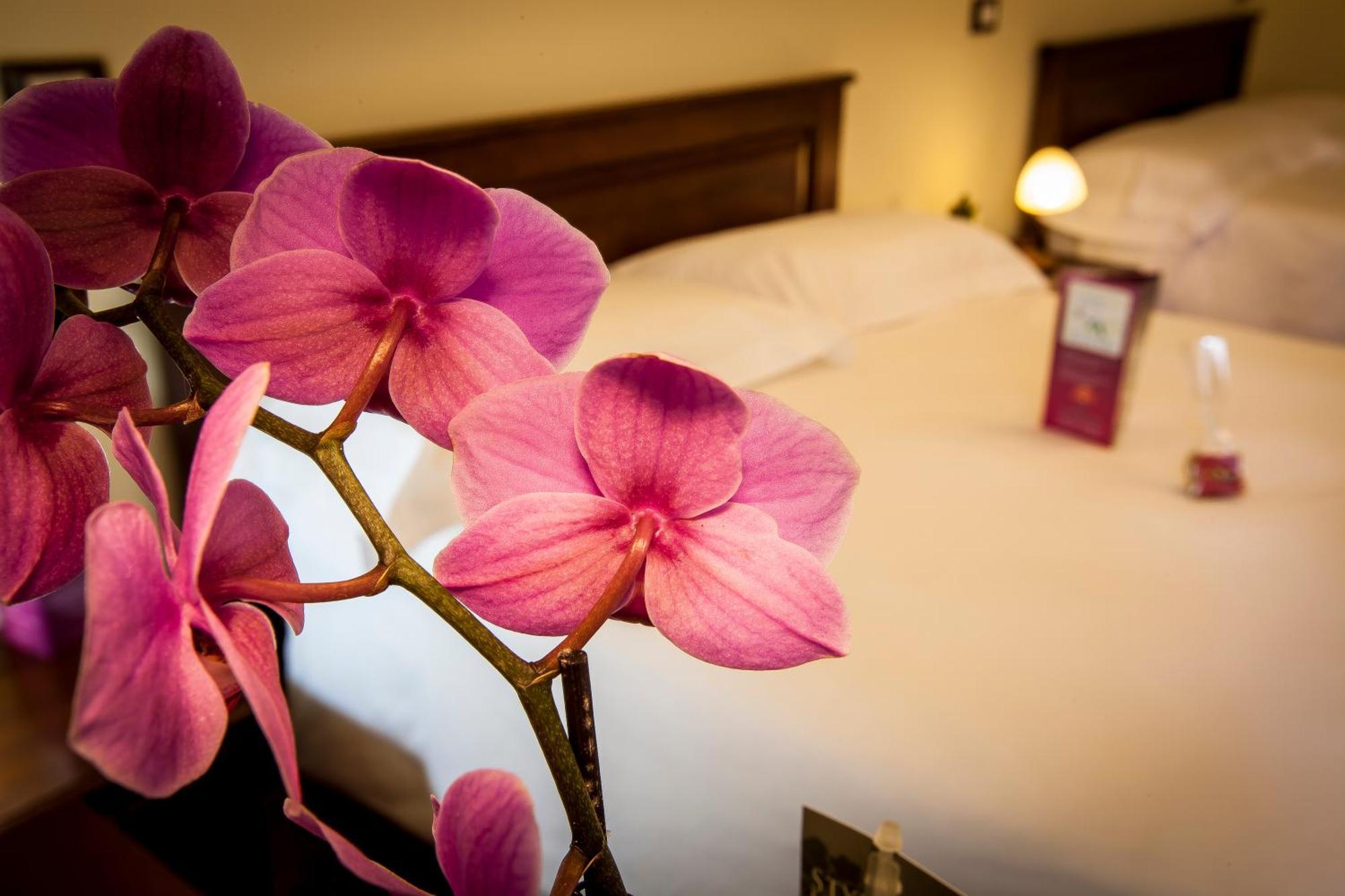 Hotel Residenza Petra Петралия-Сопрана Экстерьер фото